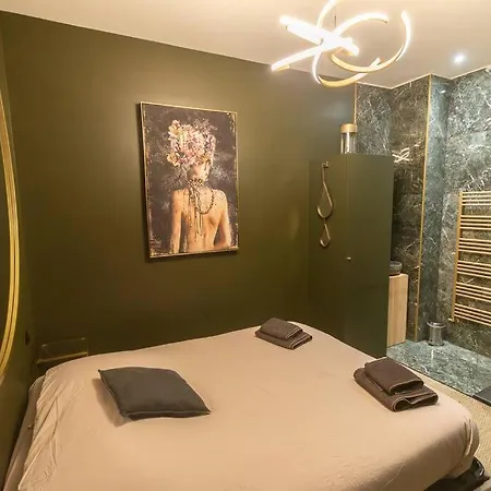 Apartment L'eden Angevin- Hypercentre *