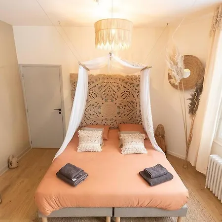 L'eden Angevin- Hypercentre Apartment